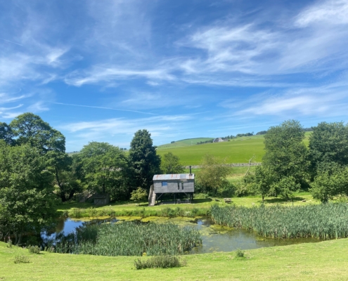 green_fields_with_trees_and_pond_under_blue_sky_with_white_clouds_and_small_cabin