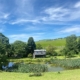 green_fields_with_trees_and_pond_under_blue_sky_with_white_clouds_and_small_cabin