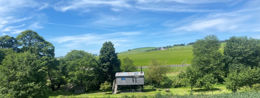 green_fields_with_trees_and_pond_under_blue_sky_with_white_clouds_and_small_cabin